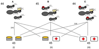 Pathogen Prevalence Modulates Medication Behavior in Ant Formica fusca